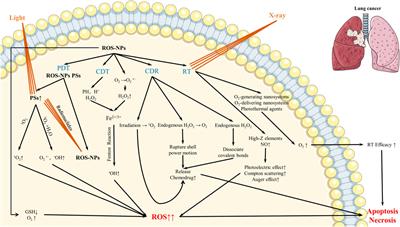 Advanced Biomedical Applications of Reactive Oxygen Species-Based Nanomaterials in Lung Cancer